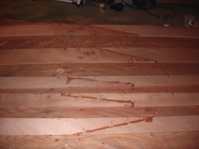  2/9/11 - The side decks and coamings are glued to full length. 